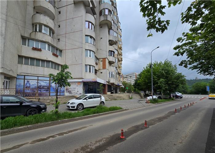 Spatiu comercial bulevardul Nicolina  Selgros