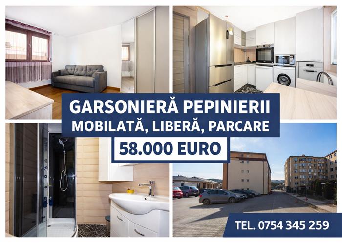 LIBER MOBILAT SI UTILAT PARCARE- Garsoniera Pepinierei